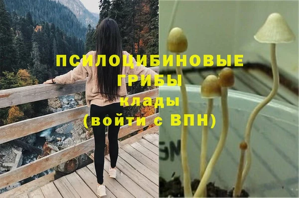 дурь Армянск