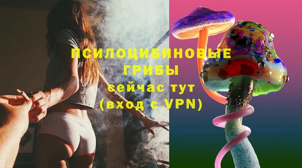 гашик Балабаново
